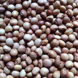 Pigeon Peas