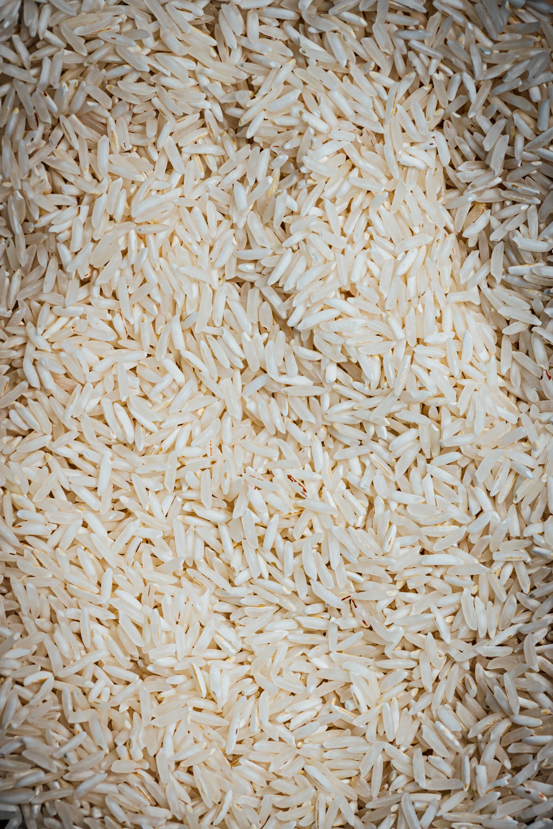Rice - Image 2