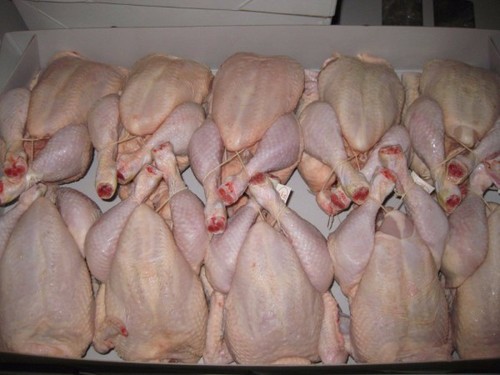 Whole Frozen Chicken - Image 2