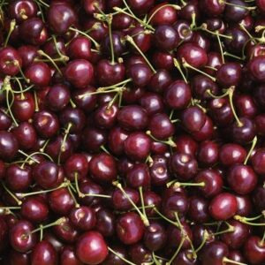 Cherries