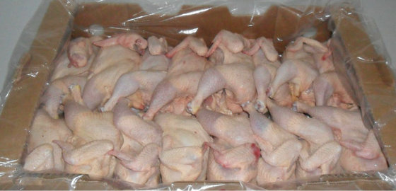 Whole Frozen Chicken - Image 6