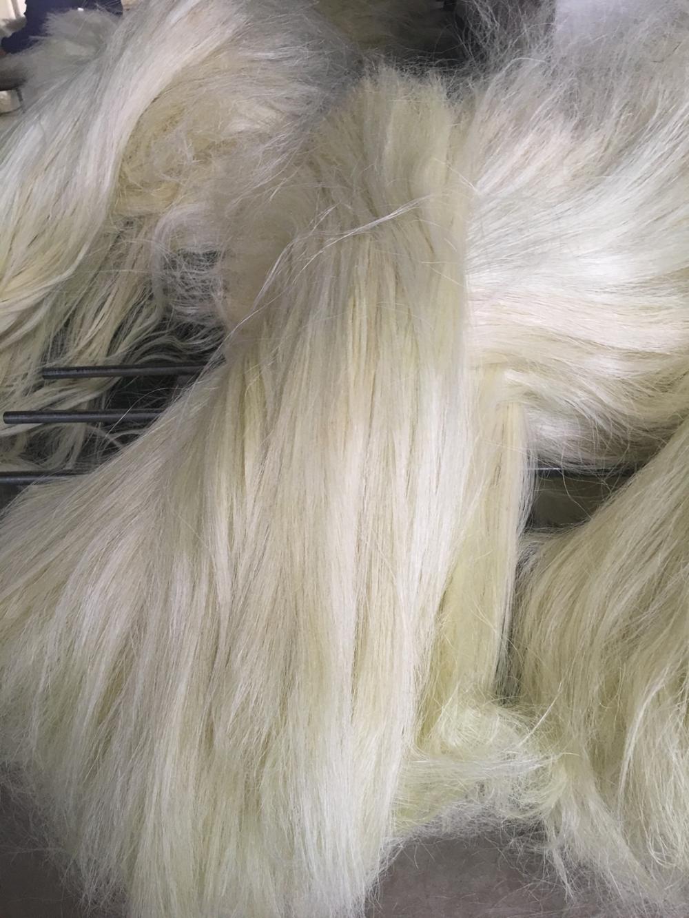 Sisal Fiber Grade 3 Long - Image 3