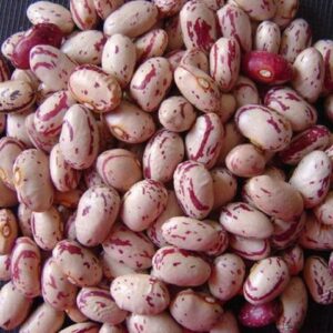 Light Speckled Kidney Beans