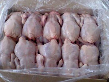 Whole Frozen Chicken - Image 7