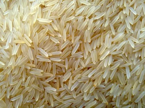 Rice - Image 6