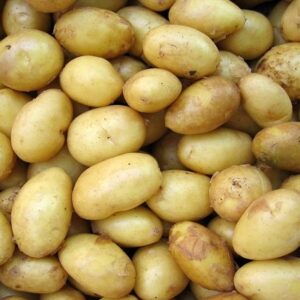 Fresh Potatoes