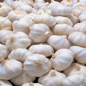 Fresh Garlic