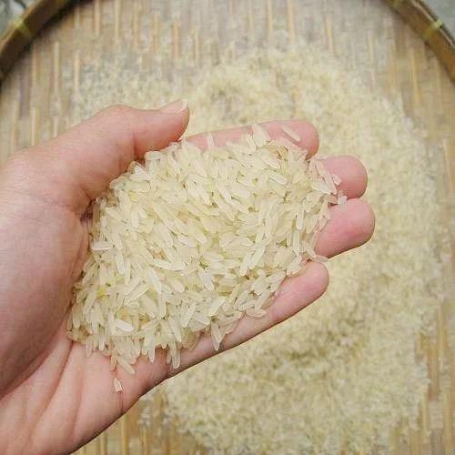 Rice